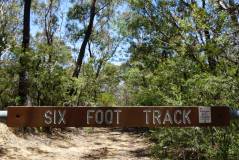 Six foot track